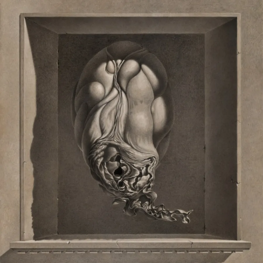 Edvardsen Brix 3